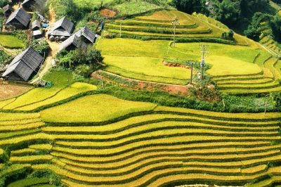 Discover the Enchanting Beauty of Sa Pa, Vietnam